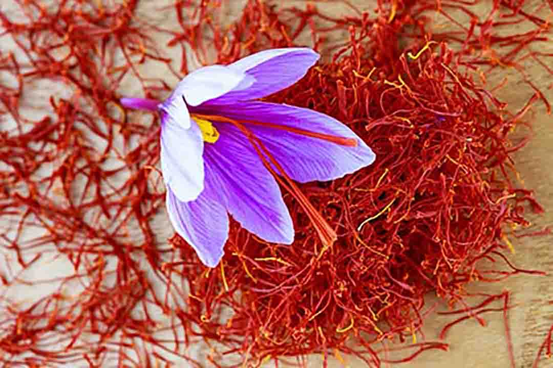 زعفران چیست
