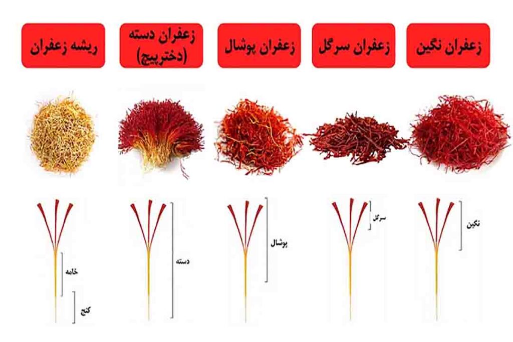 انواع زعفران و درجه‌بندی آن